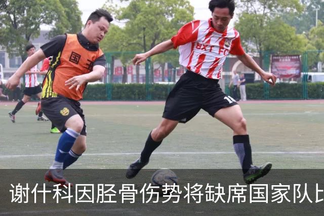 谢什科因胫骨伤势将缺席国家队比赛，待检査确定恢复情况
